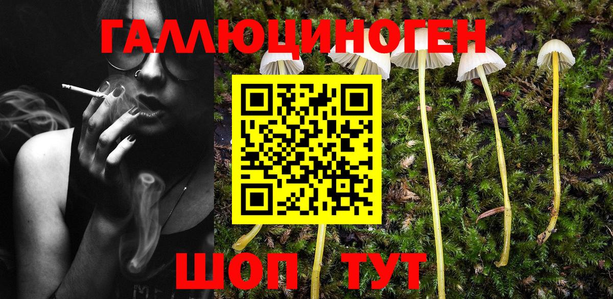 Галлюциногенные грибы Cubensis  Вход с VPN  Галлюциногенные грибы мухоморы  Мичуринск 